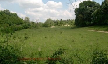 Парцел с Гледка към Златната Църква